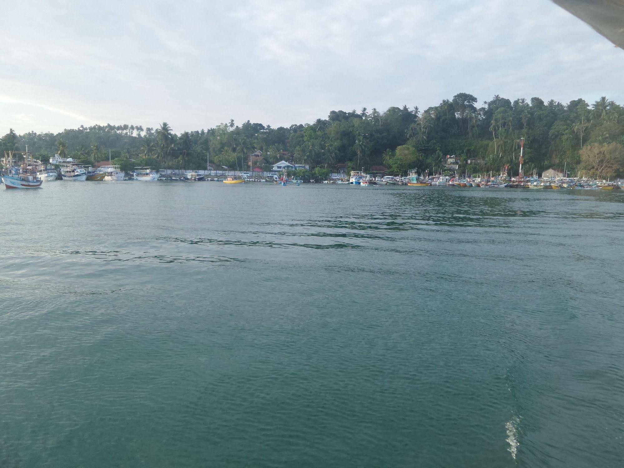 Coralworld Hotel Mirissa Zewnętrze zdjęcie